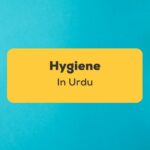 Hygiene In Urdu_ling app_learn urdu_Spray Clean