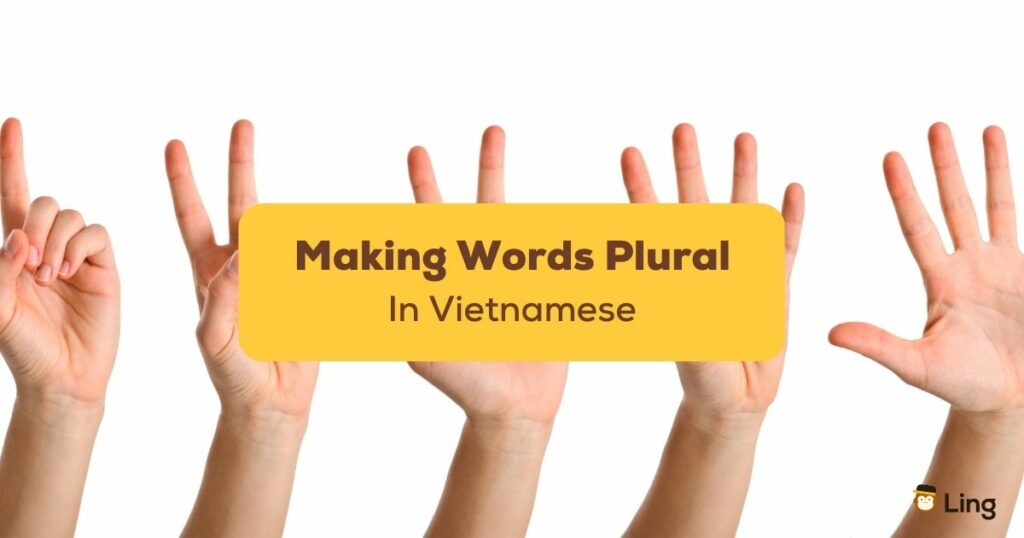 Making Vietnamese Words Plural Ling App
