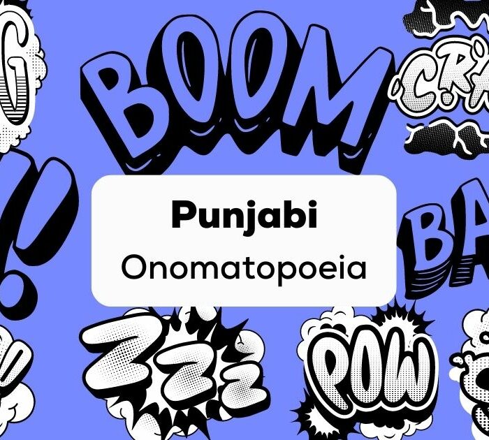 Punjabi onomatopoeia - ling app - wording