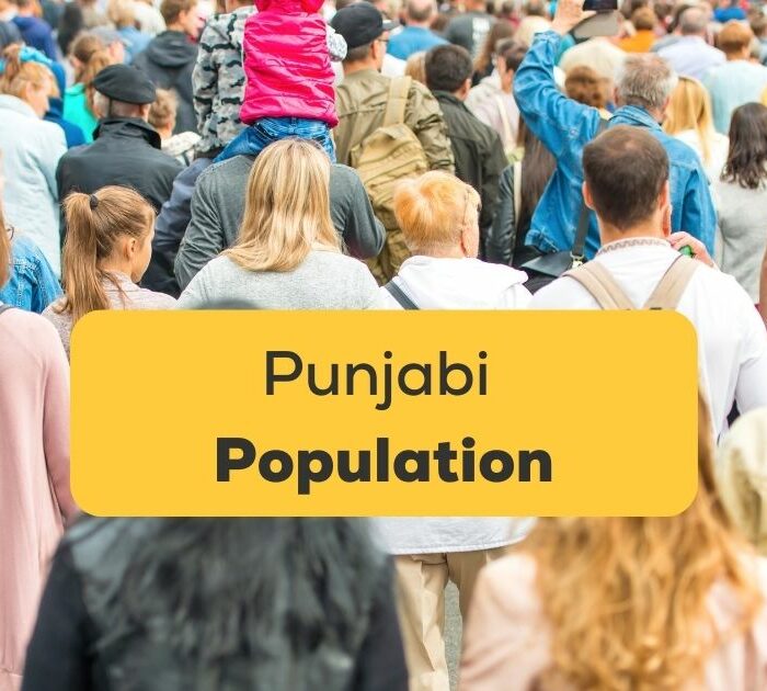 Punjabi Population Ling
