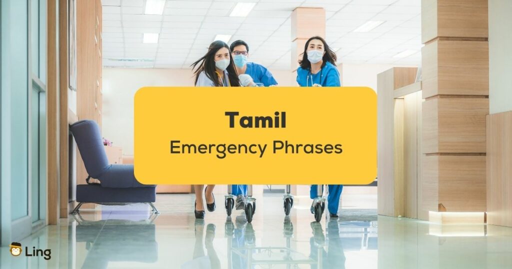 Tamil Emergency Phrases_ling app_learn tamil_Stretcher rolling in