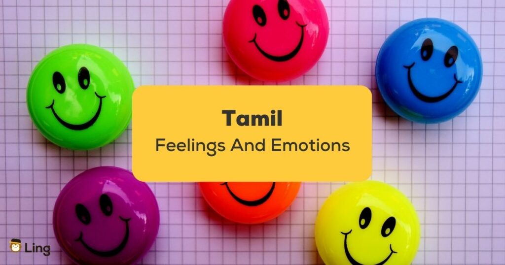 Tamil Feelings and Emotions_ling app_learn tamil_Faces Magnets