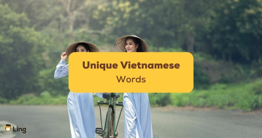 Unique Vietnamese Words Ling App Feature