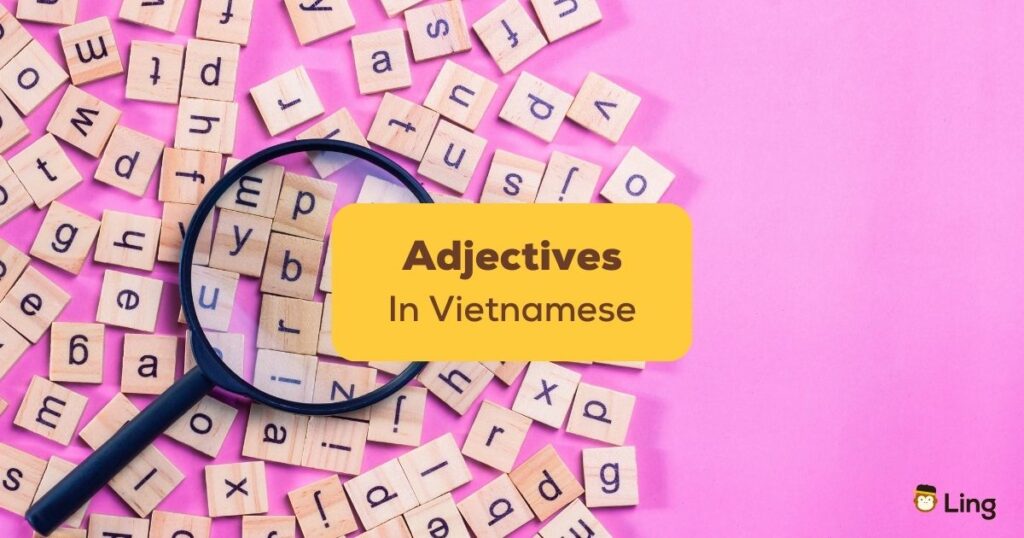 Vietnamese Adjectives Ling App