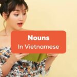 Vietnamese Nouns Ling App