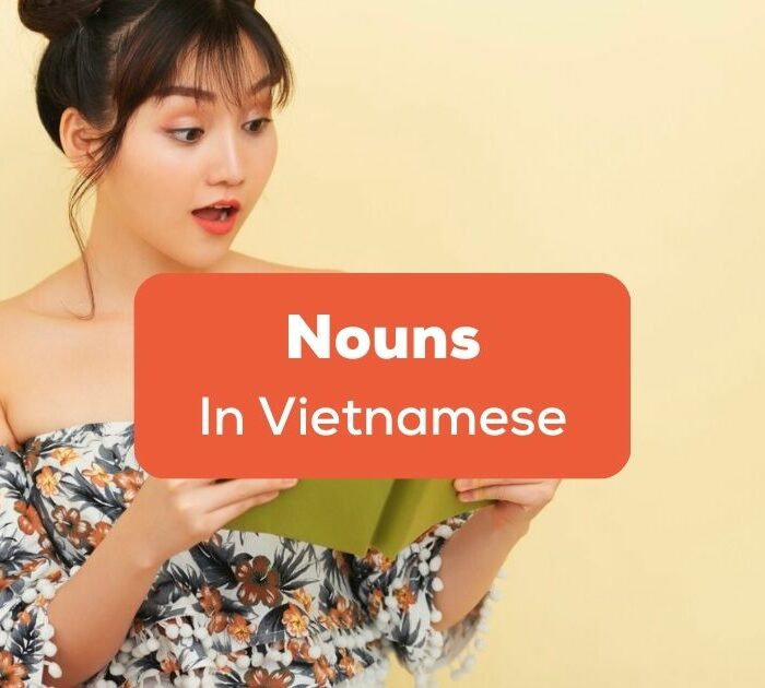 Vietnamese Nouns Ling App
