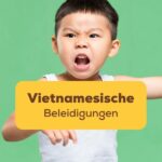 Verärgerter vietnamesischer Junge, der vietnamesische Beleidigungen benutzt