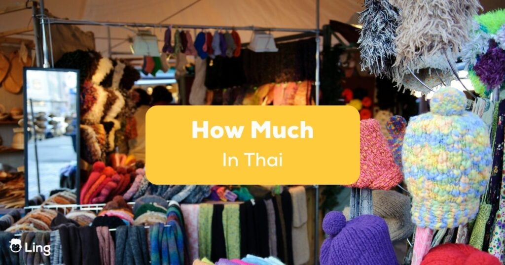 Easy ways to learn how to say how much in Thai with Ling App.