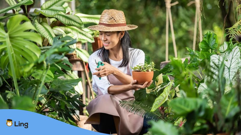 Plants In Punjabi - A woman taking care of her plants.