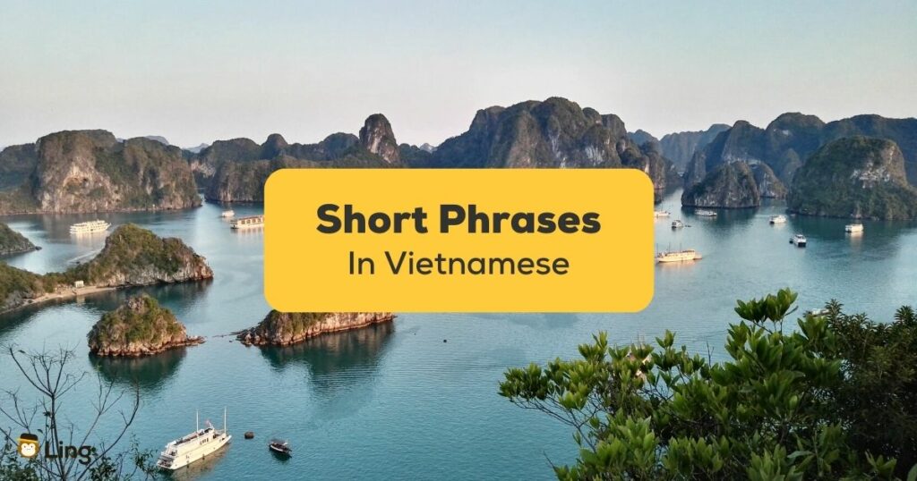 These short Vietnamese phrases will bring your language skills up!