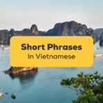 These short Vietnamese phrases will bring your language skills up!