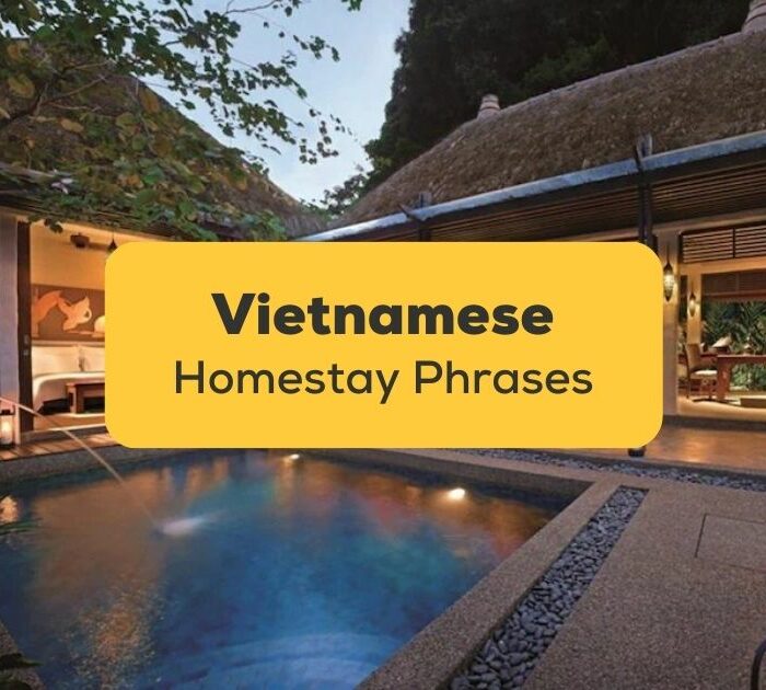 These Vietnamese homestay phrases are the key to a pleasant stay!