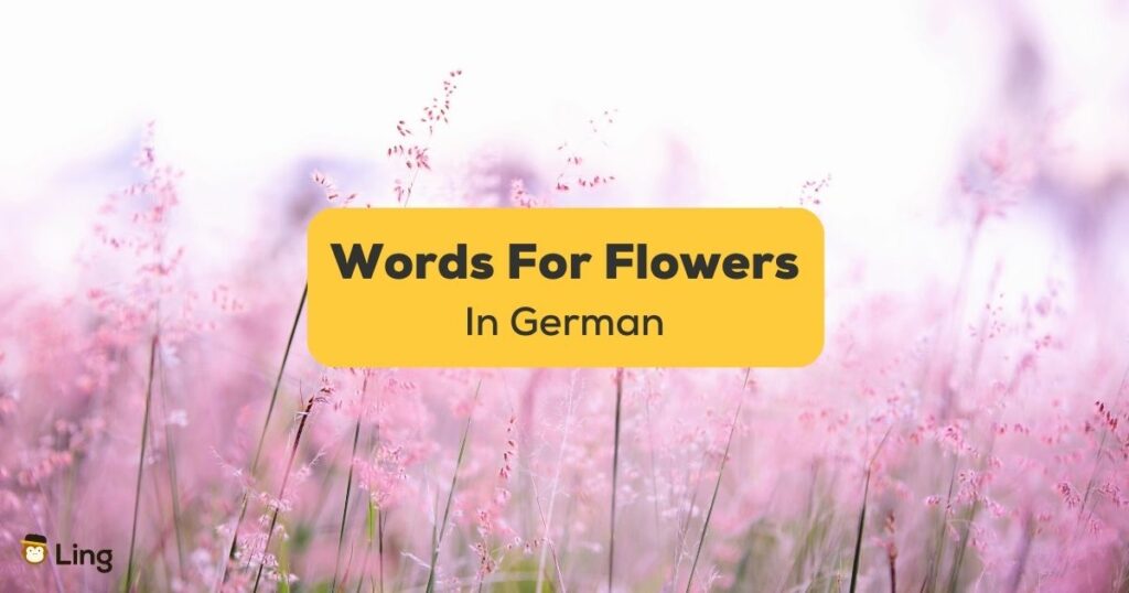 25+ Easy Words Related To Flowers In German