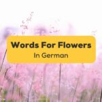 25+ Easy Words Related To Flowers In German