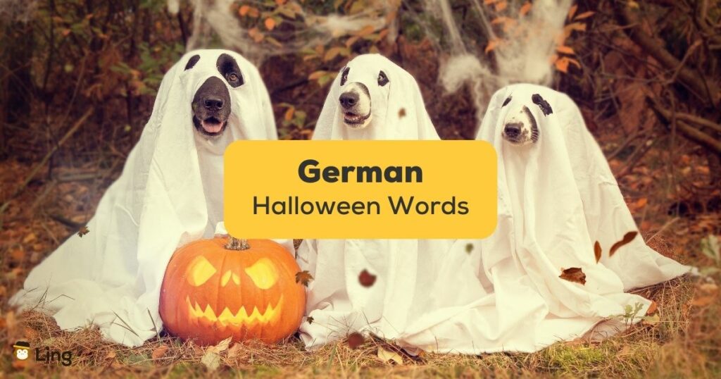 30+ Hauntingly Cool German Halloween Words