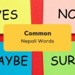 Common Nepali Words_ling app_learn nepali_Yes No Maybe Sure