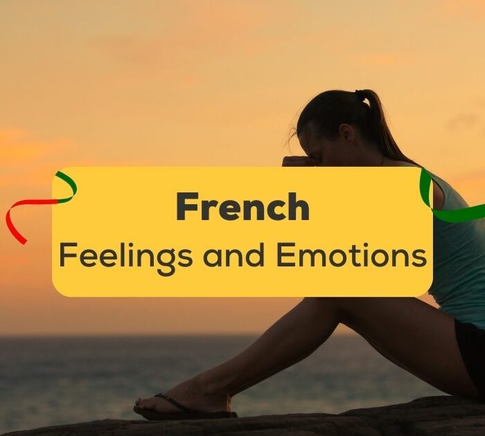 Feelings and Emotions In French