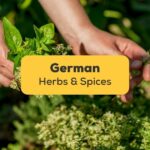 German Herbs And Spices