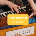 instruments in Urdu
