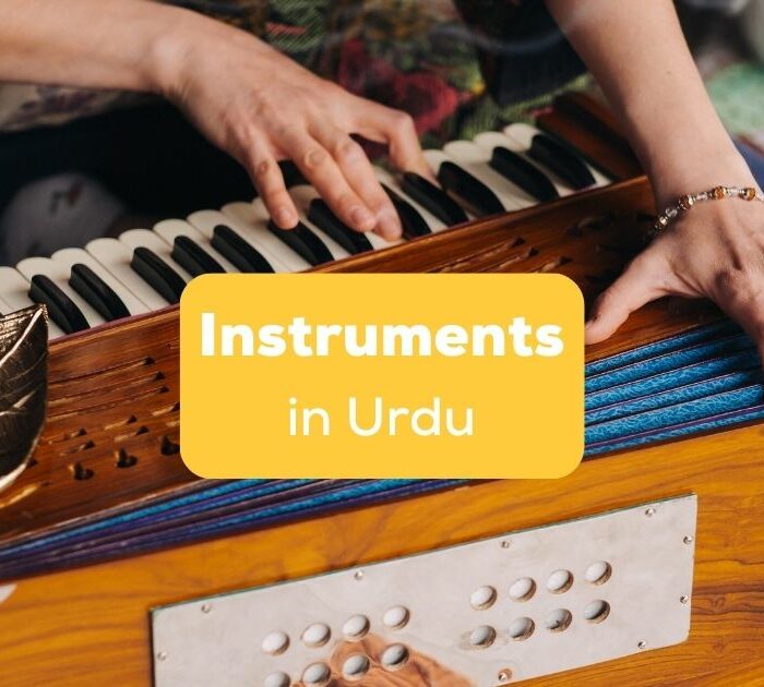 instruments in Urdu