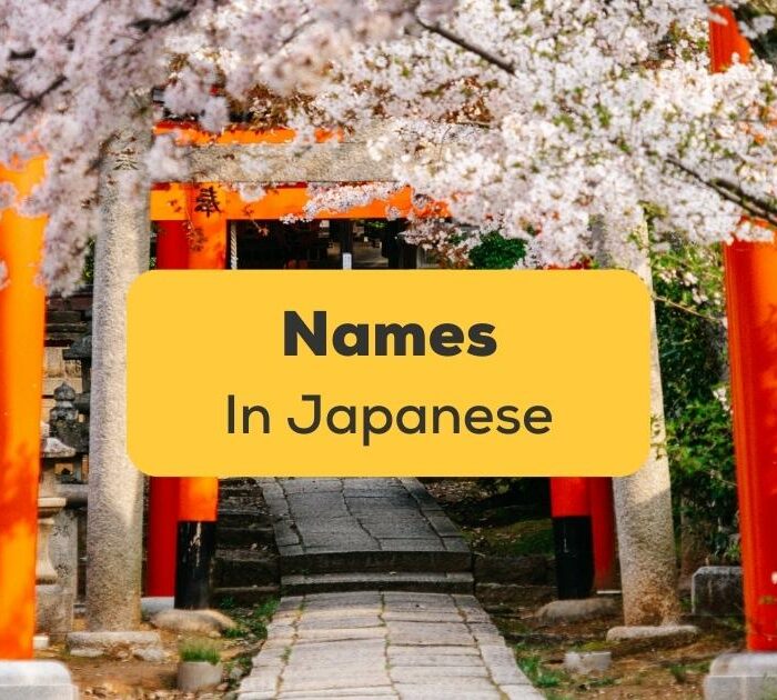 Names in Japanese-ling-app-torii
