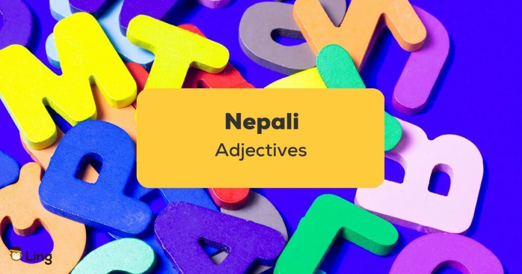 Nepali Adjectives_ling app_learn nepali_Alphabets