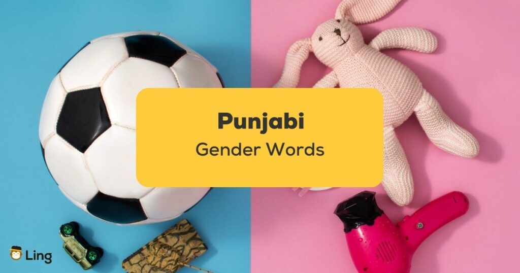 Punjabi Gender Phrases_ling app_learn punjabi_Blue Pink Gender Colors