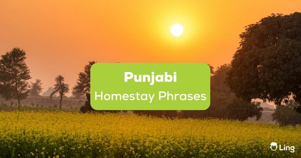 Punjabi homestay phrases