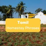 Tamil homestay phrases