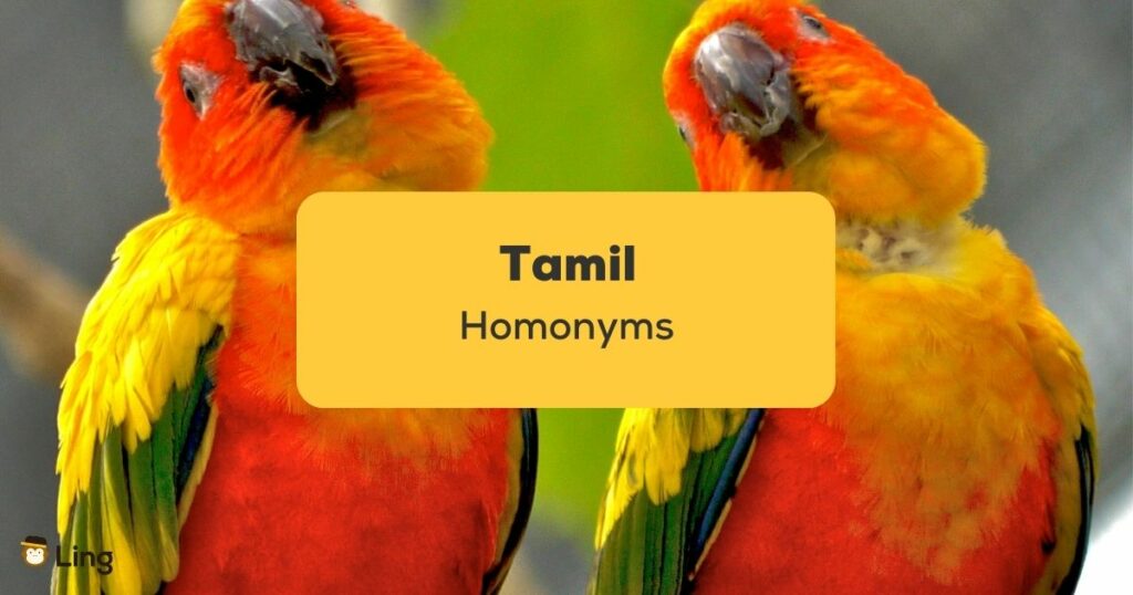 Tamil Homonyms_ling app_learn Tamil_Two Identical Parrots