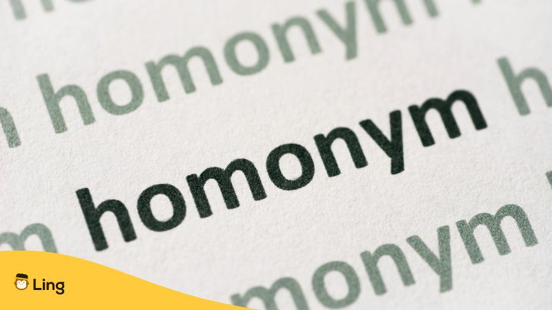 6 Incredible Tamil Homonyms: All You Need To Know! - ling-app.com