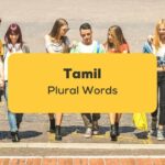 Tamil Plural Words_ling app_learn tamil_Many People