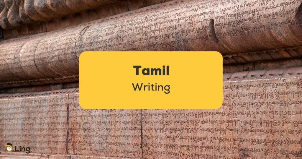 Tamil Writing_ling app_learn Tamil_Writing Script