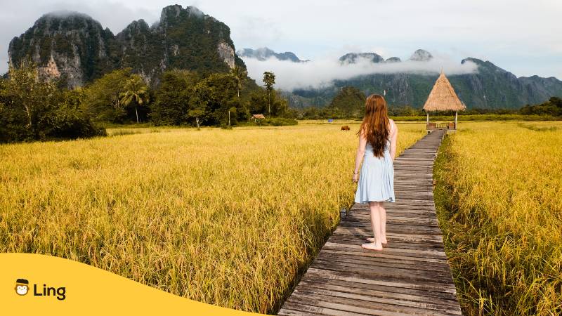 Junge Frau Von Hinten Betrachtet, Mit Dem Blick Auf Laotische Landschaft