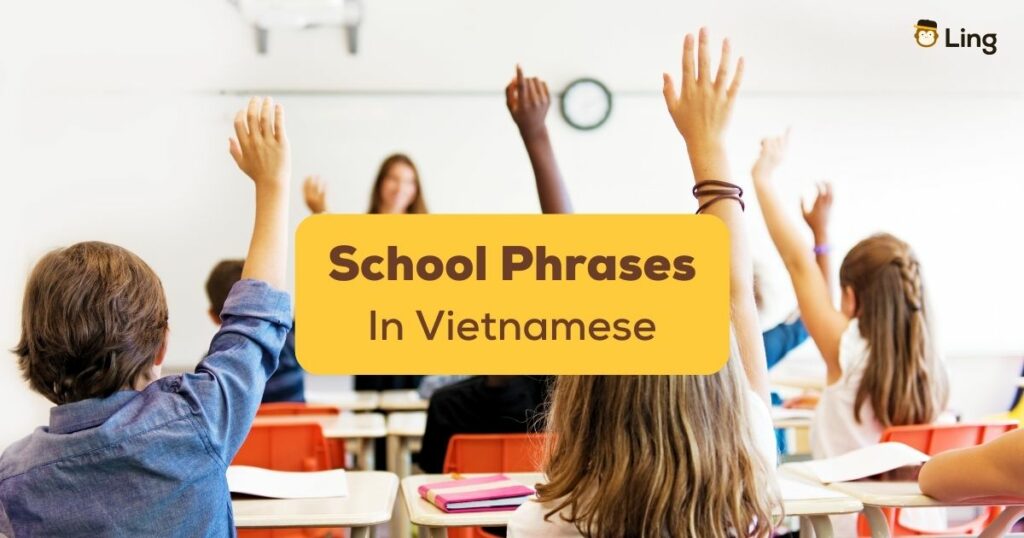 Vietnamese School Phrases Ling App