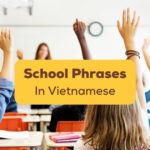 Vietnamese School Phrases Ling App
