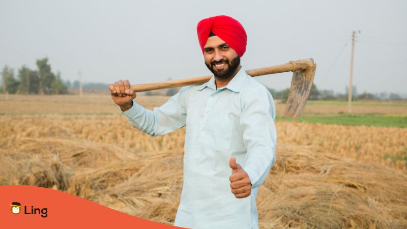 Punjabi man working in the fields