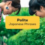 polite japanese phrases - ling