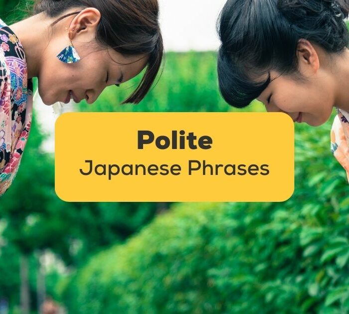polite japanese phrases - ling