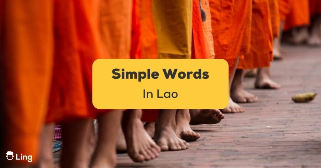 Simple Lao Words Ling App Feature