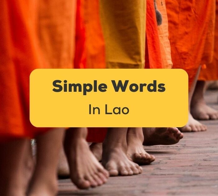 Simple Lao Words Ling App Feature