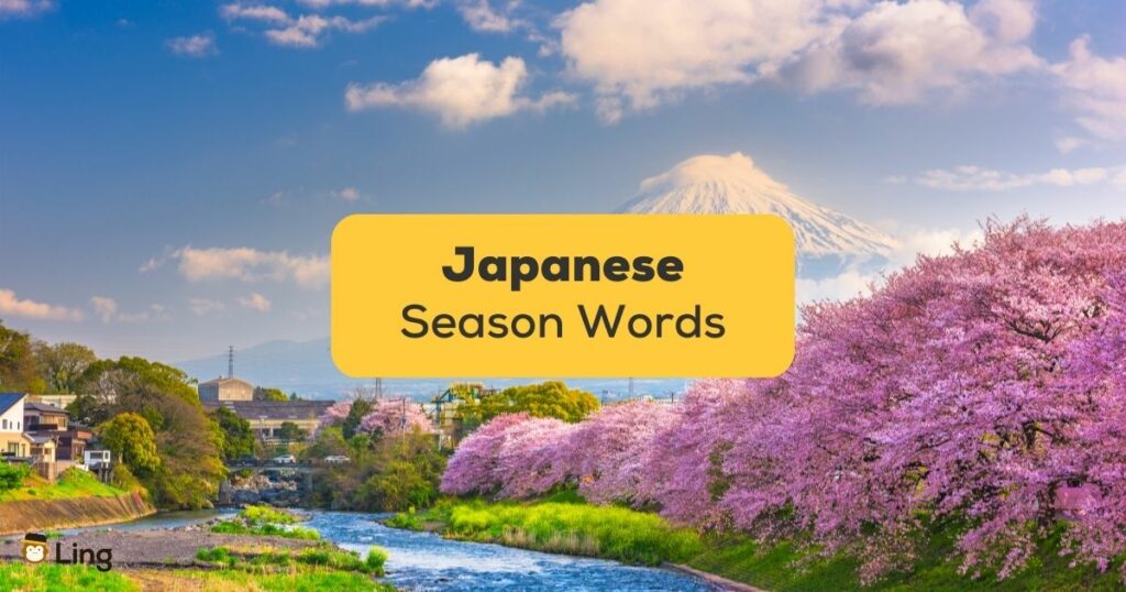 10+ Easy Japanese Season Words You Must Learn Now