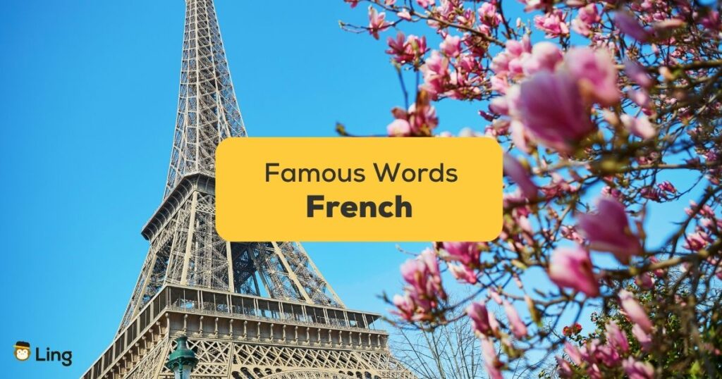 10+ Famous French Words For Beginners