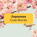 10+ Super Cute Words In Japanese