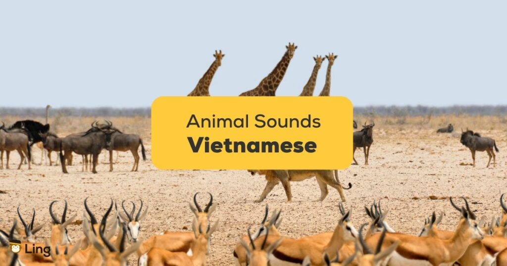 20+ Cool Vietnamese Animal Sounds For Beginners
