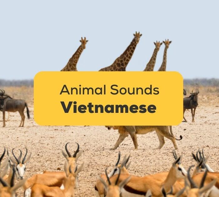 20+ Cool Vietnamese Animal Sounds For Beginners