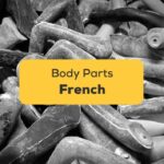 50 Must-Know Easy Terms For Body Parts In French