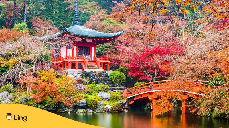 10-easy-japanese-season-words-you-must-learn-now-ling-app