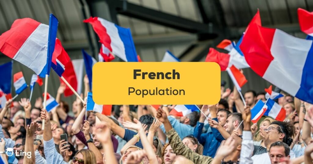 Best Guide On The French Population