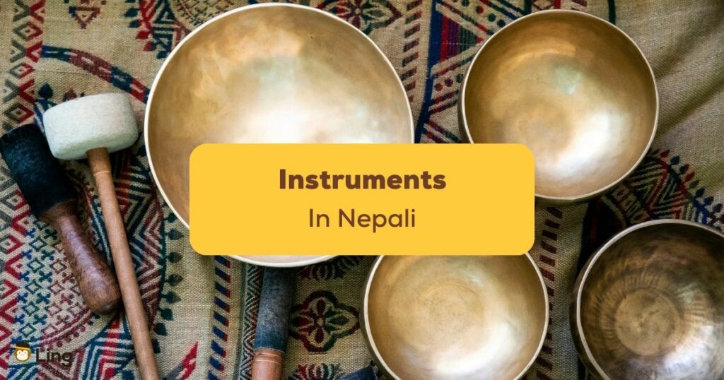 Instruments In Nepali- Featured Ling App